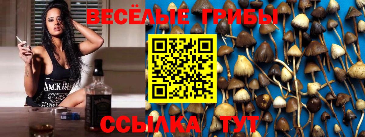 Горячий Ключ  Галлюциногенные грибы GOLDEN TEACHER  Вход с VPN  хочу наркоту  Псилоцибиновые грибы Psilocybe 